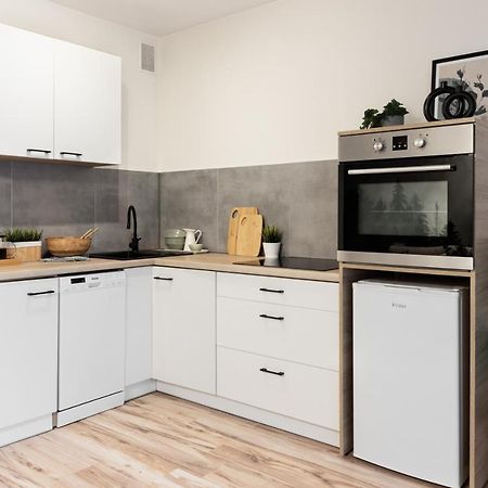 Katowice Chorzow Park Stadion Slaski Apartmenty Сємяновіце-Шльонськє Екстер'єр фото